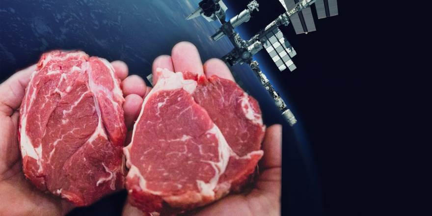 First man-made meat is grown in outer space