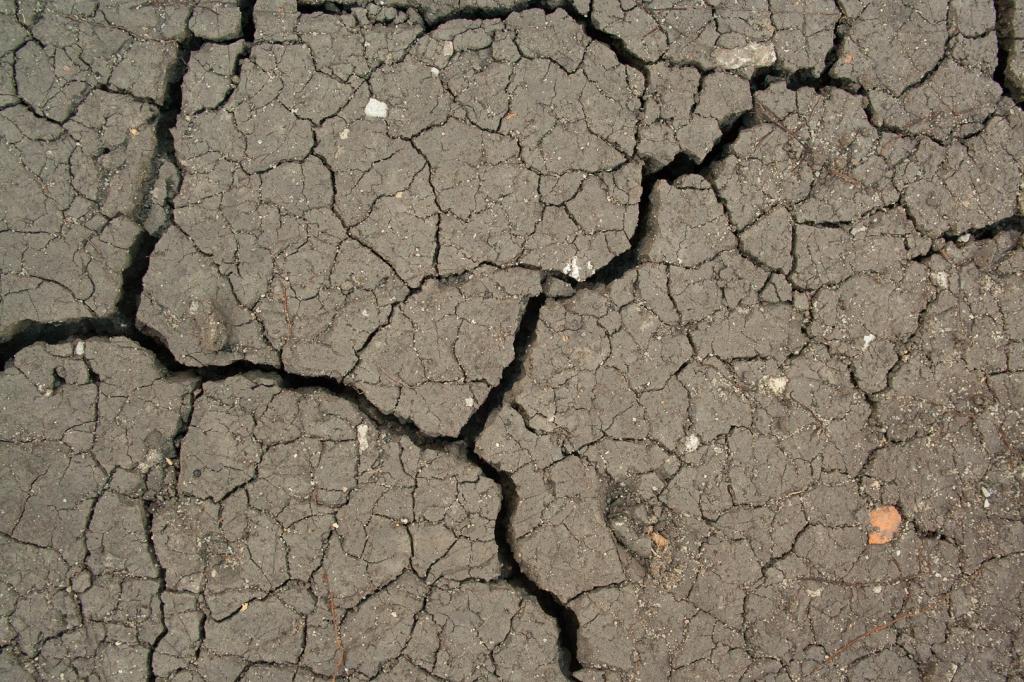 Потеря фосфора во всем мире в результате эрозии почв была впервые подсчитана в количественном выражении