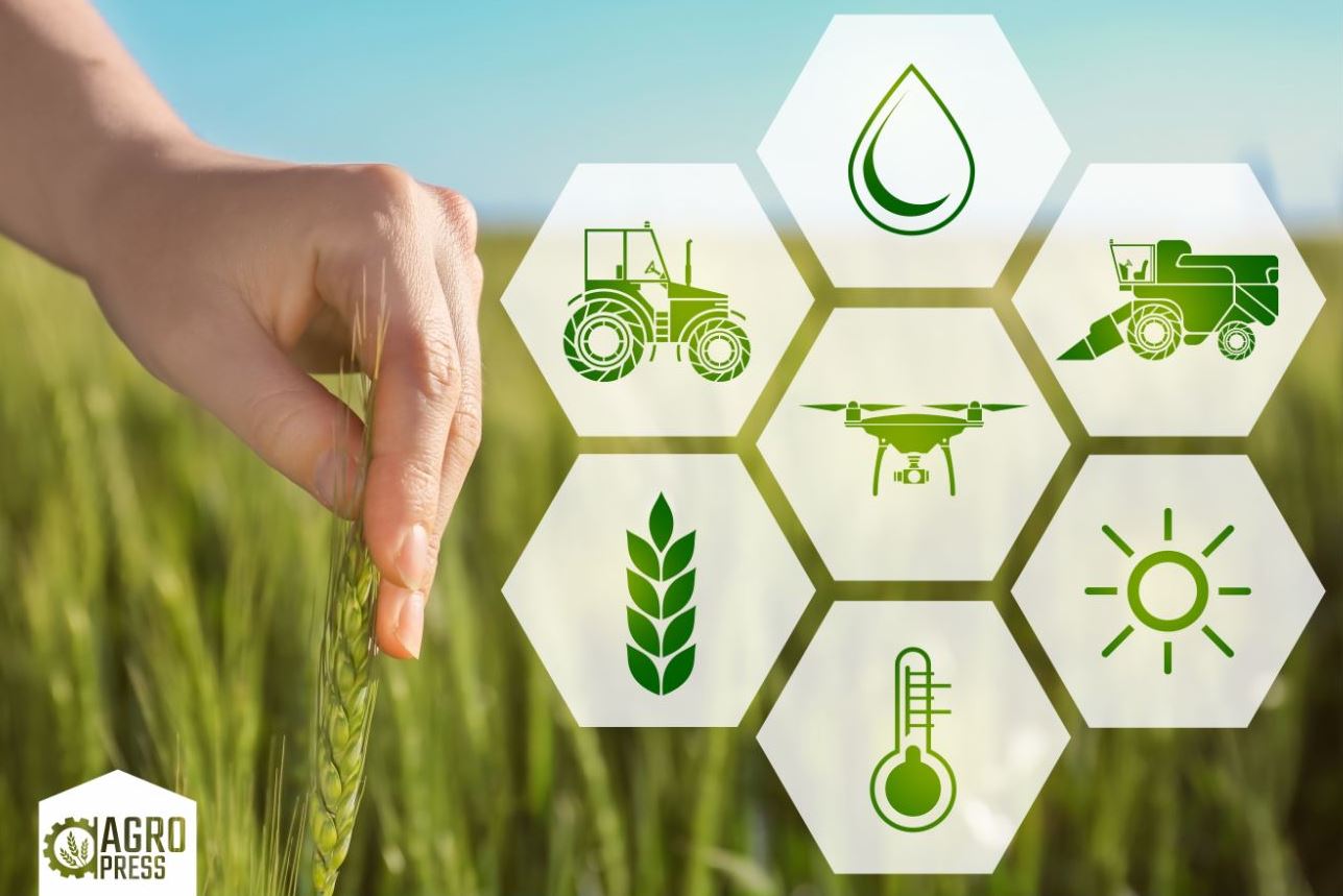 A new system of insurance for agro-industrial complex has been introduced in Kazakhstan