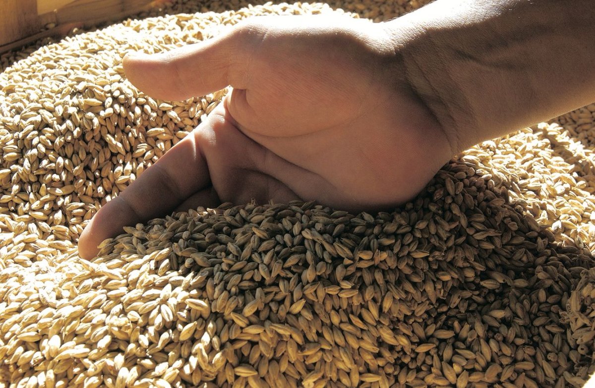 Will there be less grain and oilseeds on the market?