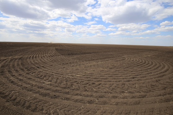 Әйел кискасының жыпылықтайтын бейнелері