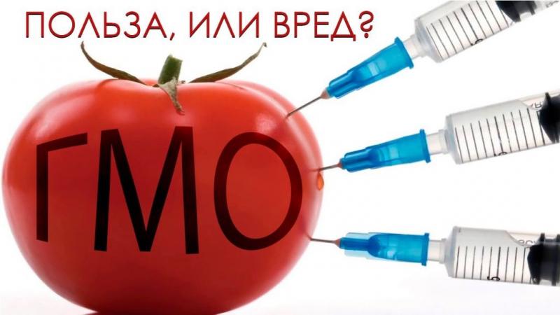 GMO in Kazakhstan: is it safe?