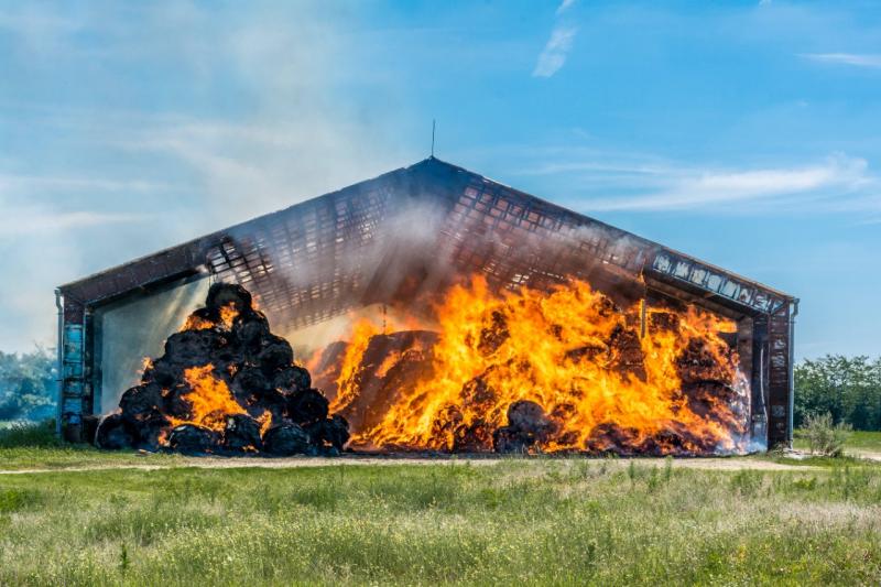 About 80 farms were affected by fires in Kazakhstan