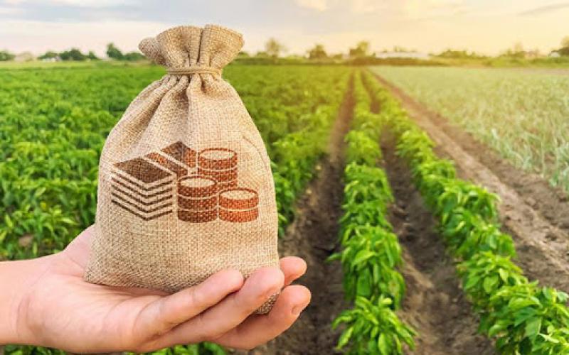 Виды лизинга от «КазАгроФинанс» для сельхозпроизводителей рассмотрели предприниматели