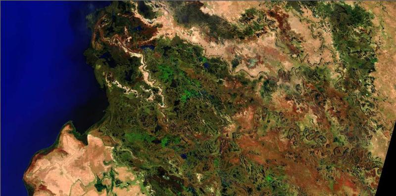 Space monitoring shows the revival of vegetation in the Ili River delta