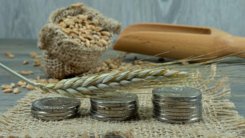 Займут ли российские зерновики рынки сбыта Казахстана? 