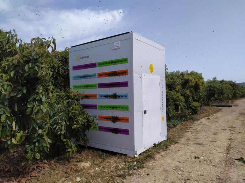 Israeli scientists invented a robotic beehive