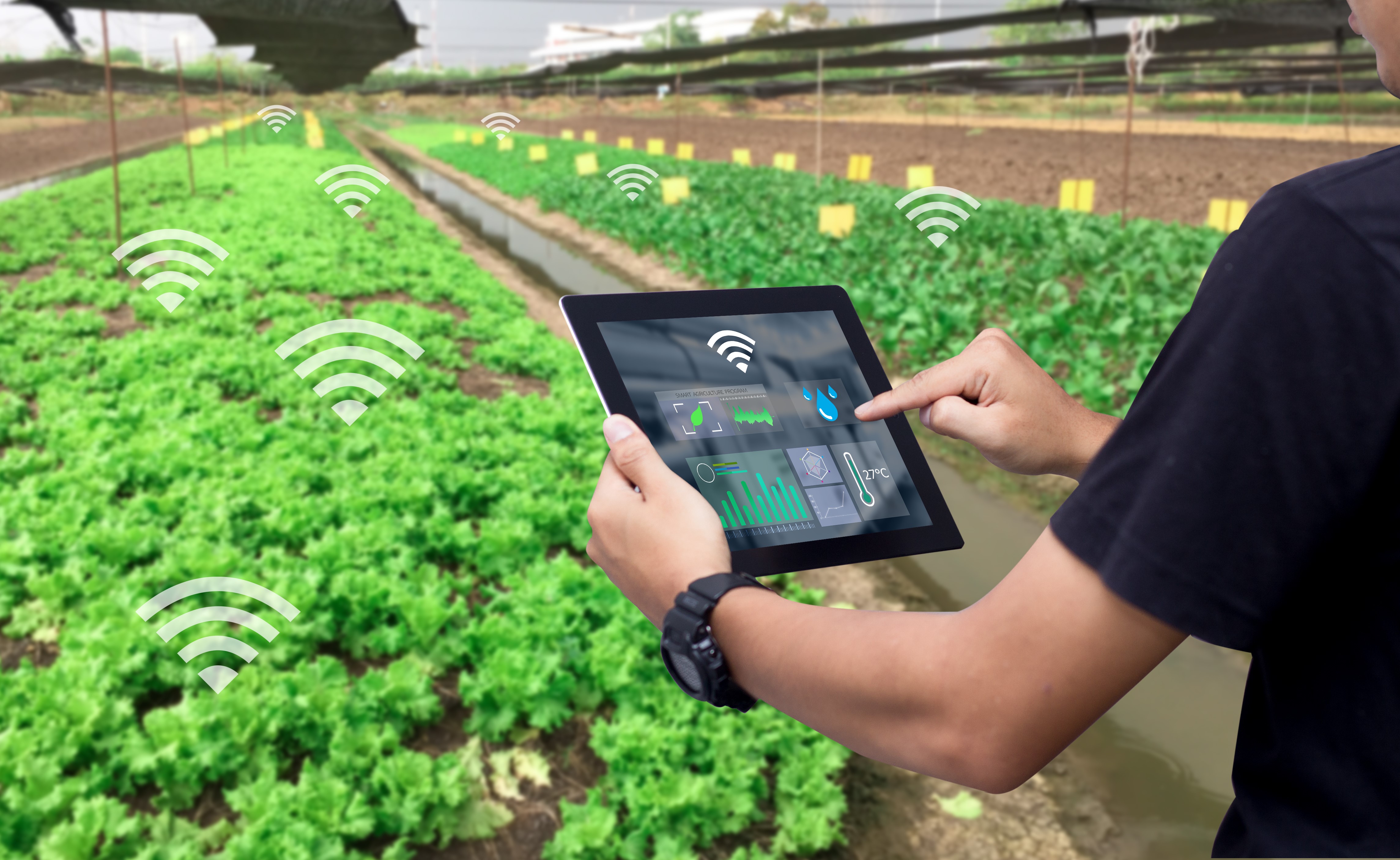 Internet of Things can bring Kazakhstan's agriculture to a new level of development