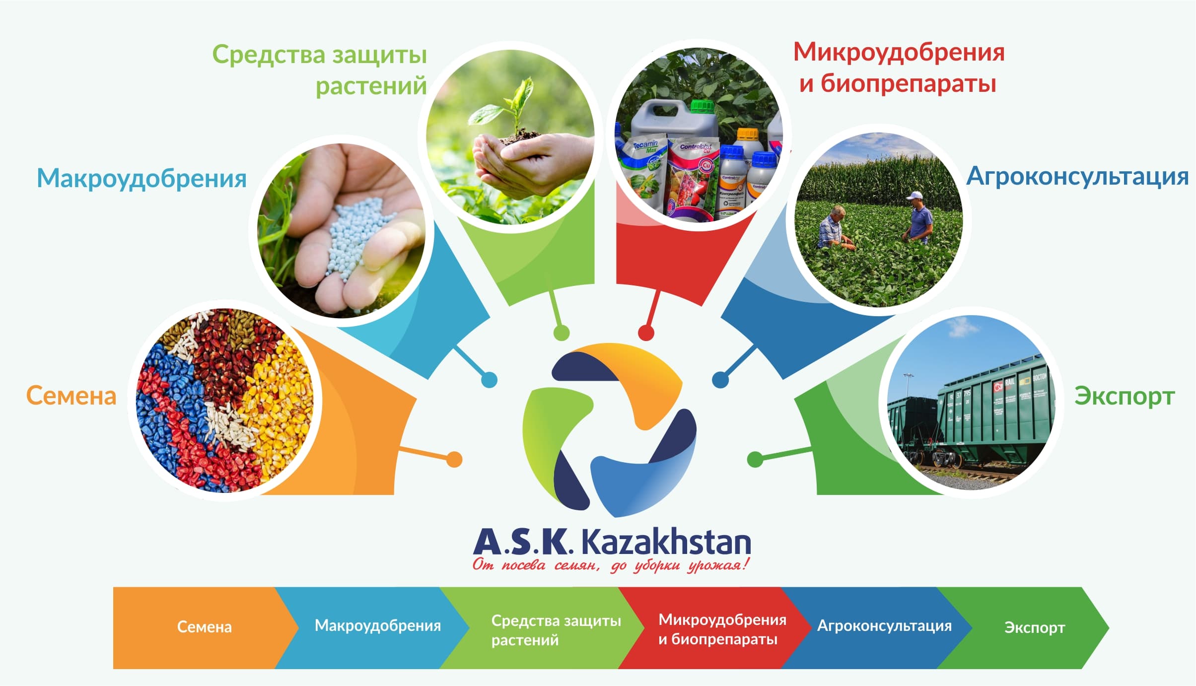Компания «A.S.K. Kazakhstan» – один из лидеров на рынке семян в Казахстане