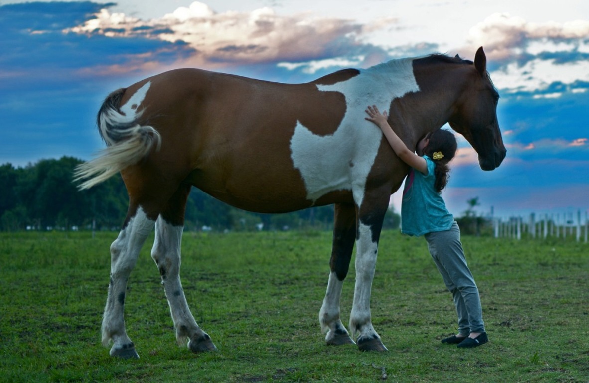 Eco-farms can become the basis for rural tourism in Kazakhstan 