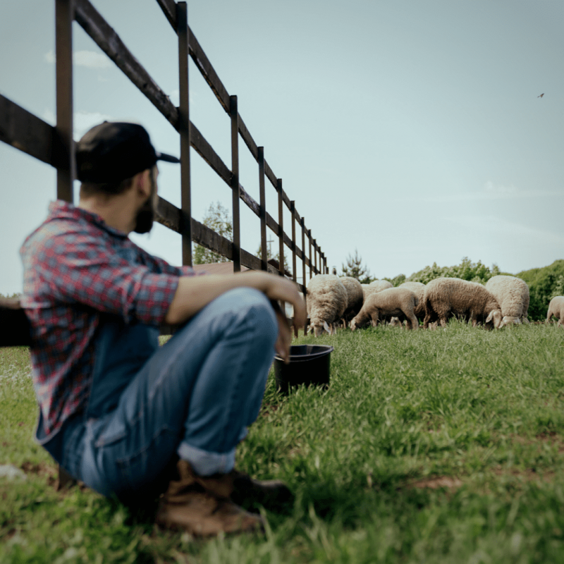 Experts predict the disappearance of many professions in agriculture by 2025