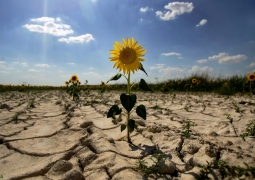 How will climate change affect the agricultural sector of Kazakhstan? 