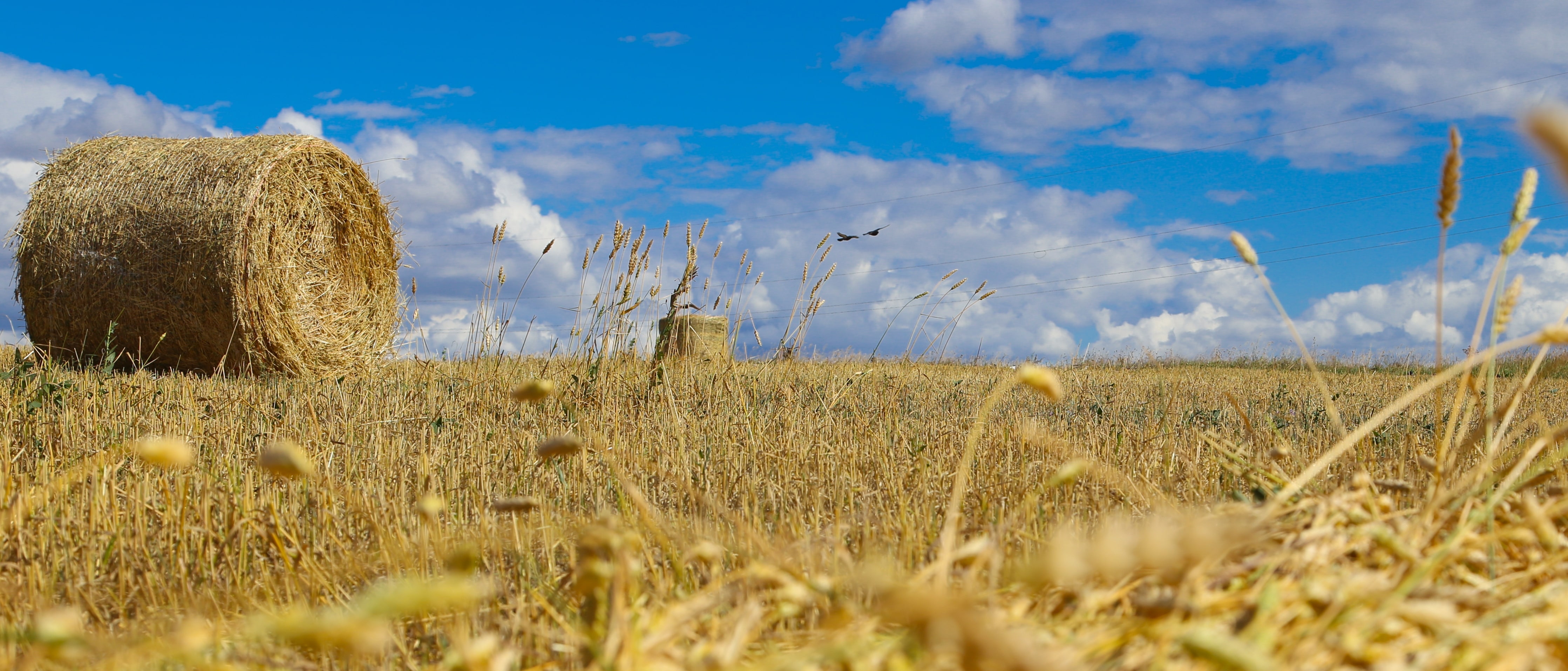 Agriculture of Kazakhstan is an ultramodern combine, standing idle in the field