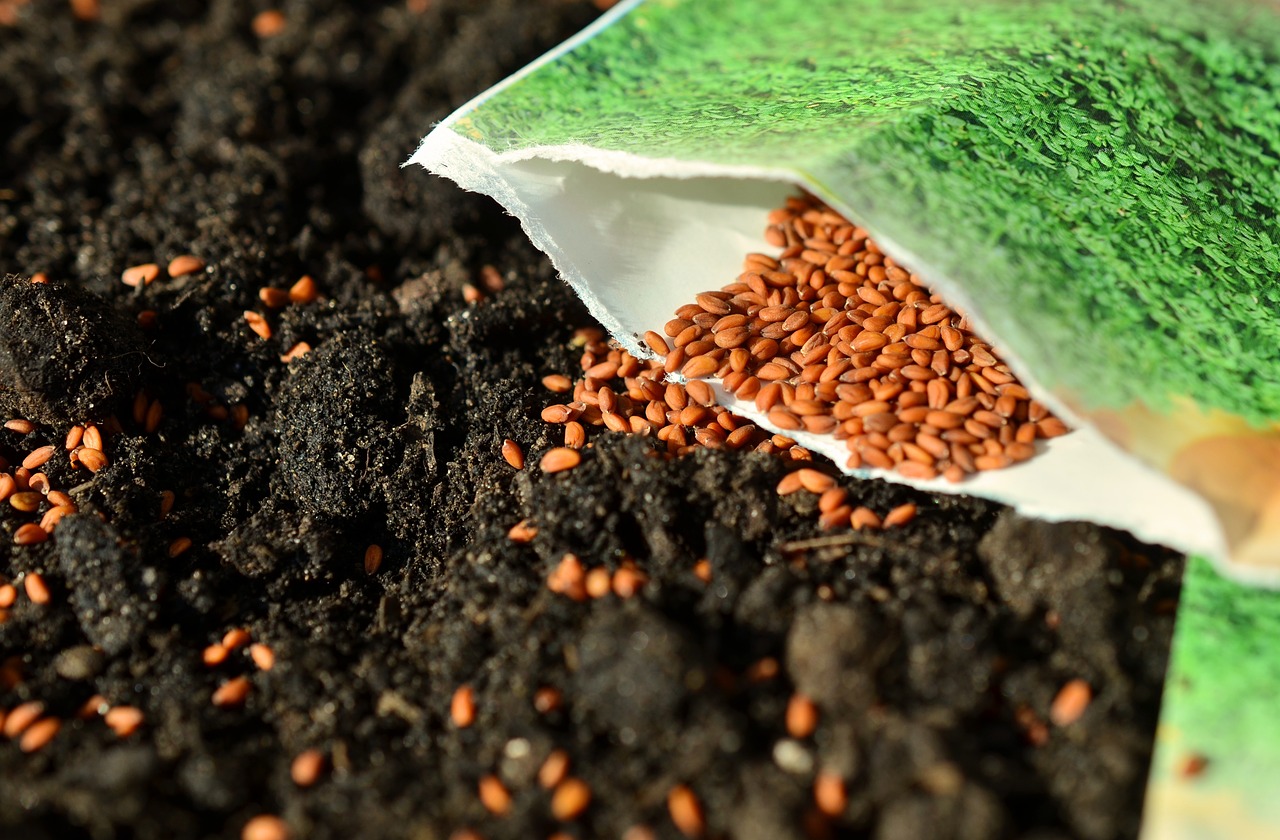 Artificial intelligence has started to be used to select seeds 