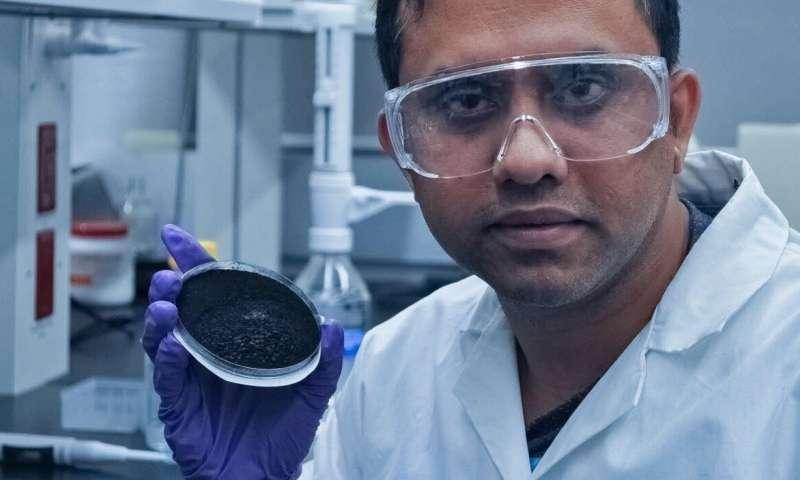 US scientists propose to use biochar to clean wastewater