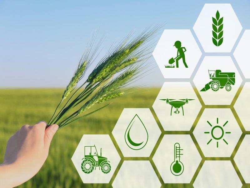 Startups developing agriculture in the CIS countries 