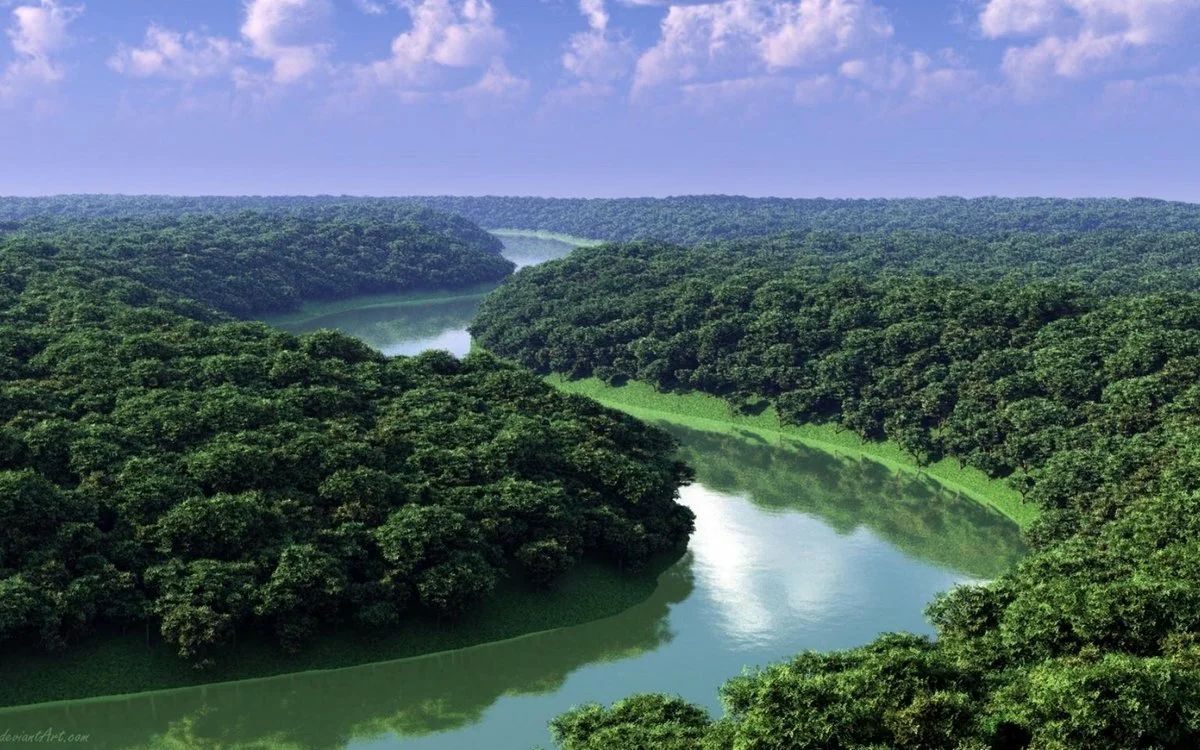 40% of the Amazon rainforest could become savannah