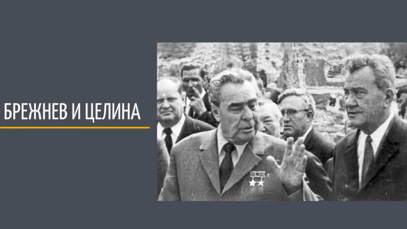 Brezhnev and the virgin land campaign