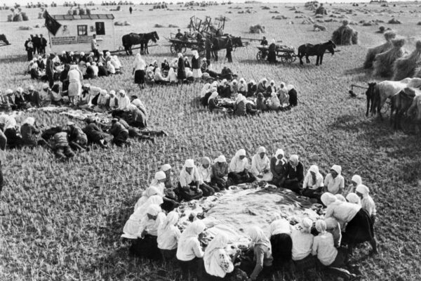Трансформация традиционной хозяйственной деятельности казахов во второй половине XIX – начале XX века