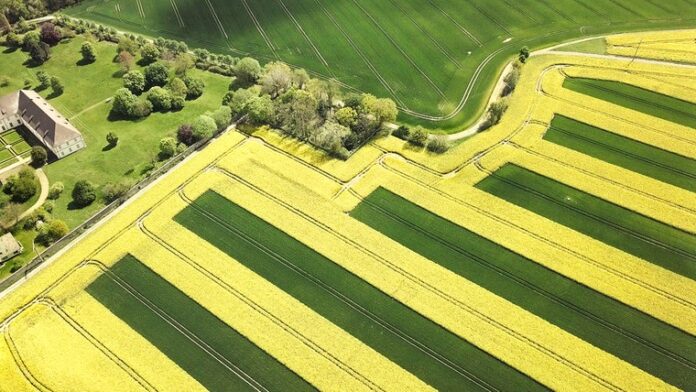 Large scale Strip cultivation test in Germany very promising