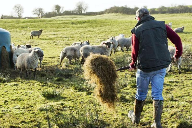 Subsidies to farmers from the EU for what the European Commission is willing to pay farmers