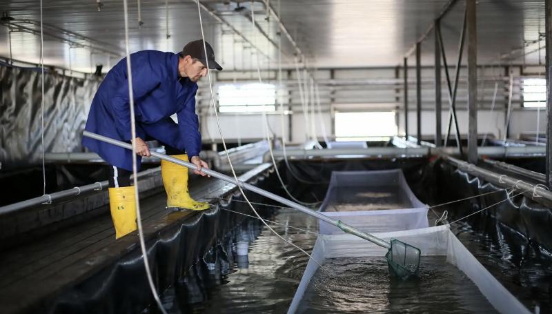 Более двух трлн тенге должно принести рыбное хозяйство страны за 10 лет