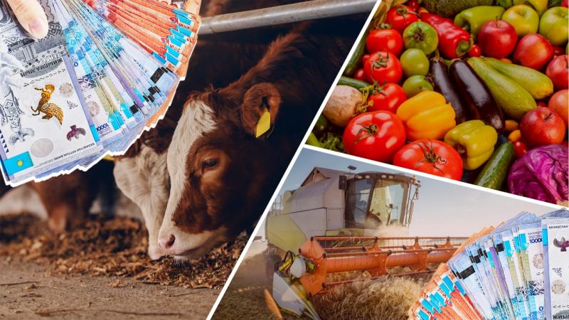 10 причин для открытия сельхозкооперативов