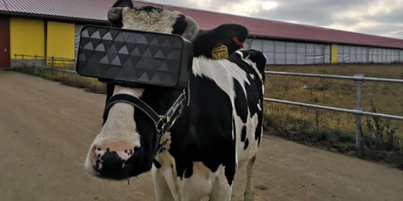 Repair of machinery via virtual headset, cows in the matrix virtual reality is taking over agriculture