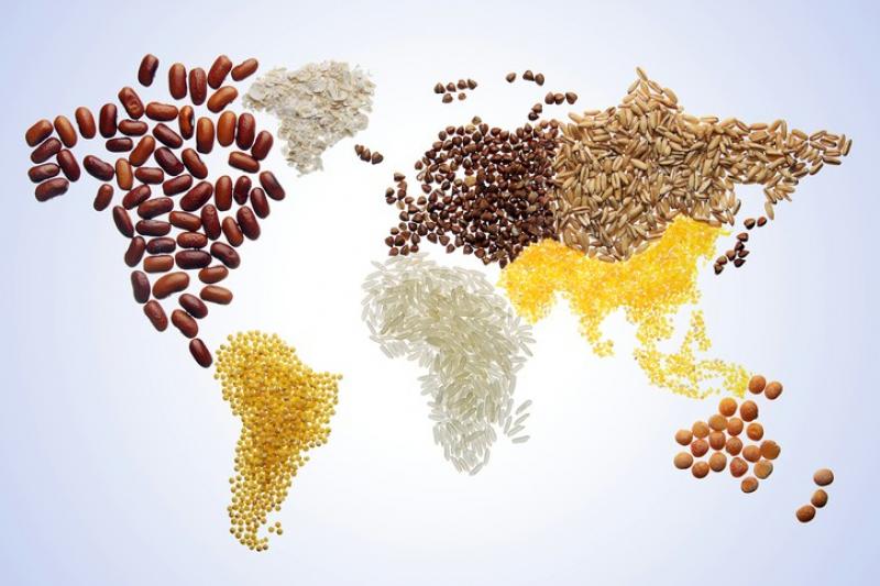 What's going on in the global grain and legume market? Opinion of an expert 