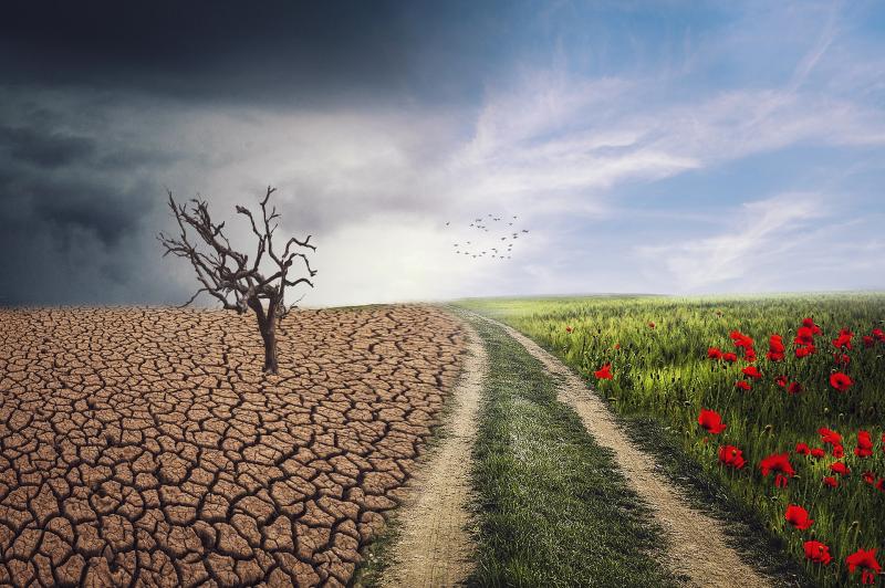 How will climate change affect the agro-industrial complex of Kazakhstan?