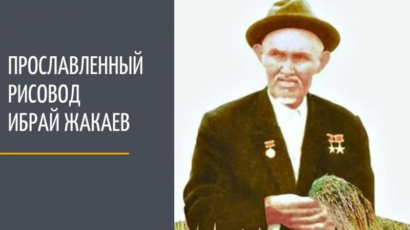 Күріш атасы – Ыбырай Жақаев 