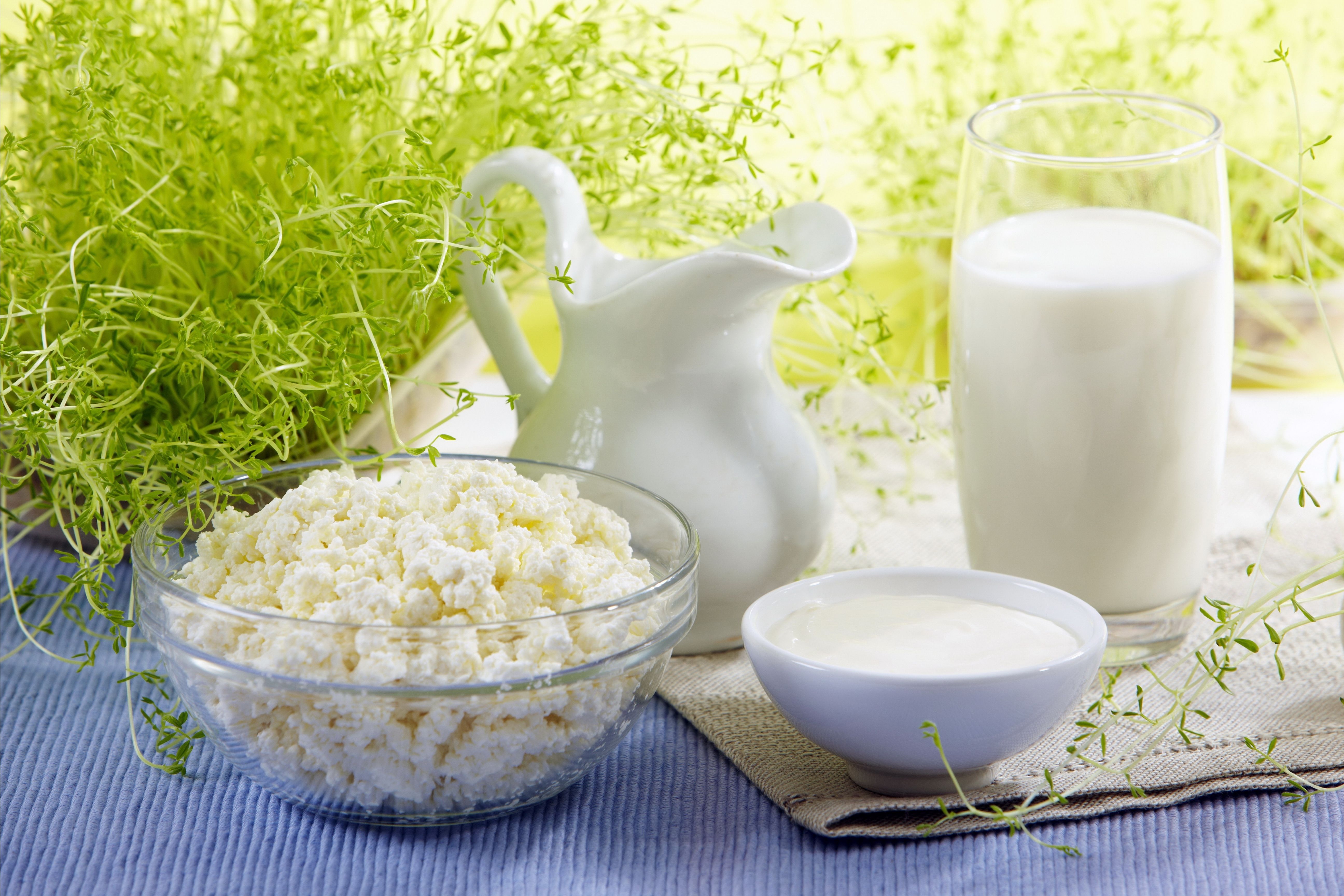Каждый казахстанец в среднем за год потребляет 260 литров молочной продукции