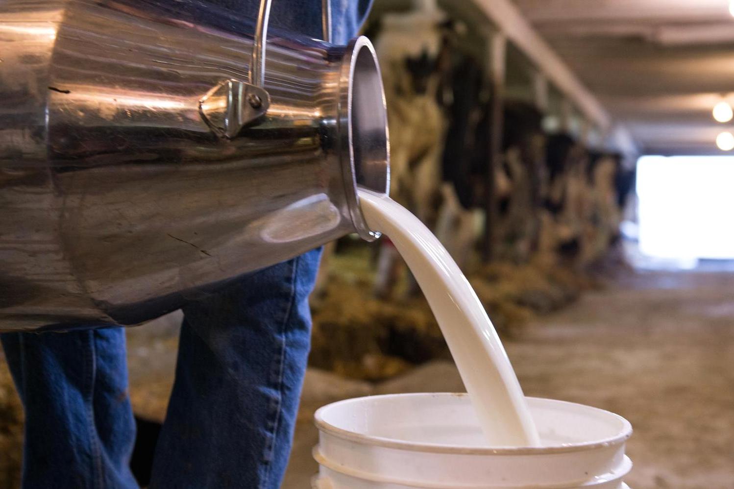 Переработчики останутся без молока из-за нововведений