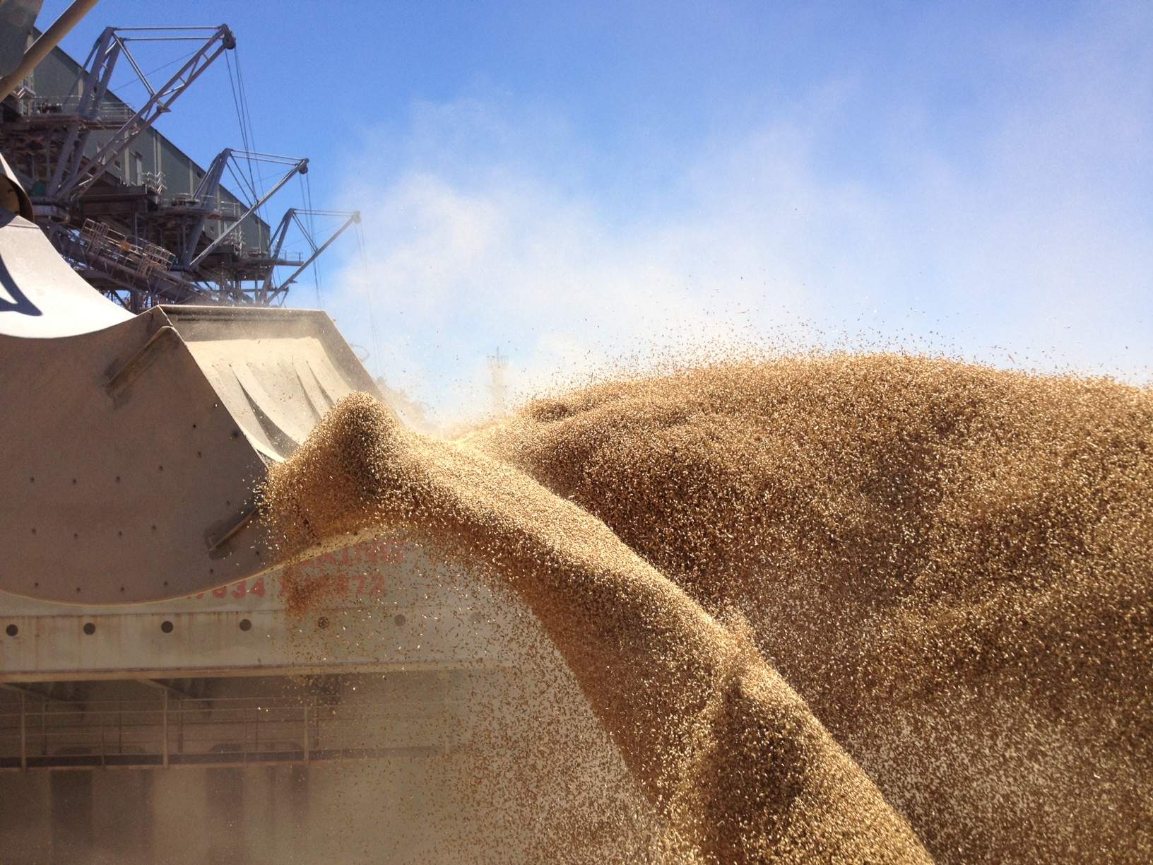 Казахстан увеличил экспорт пшеницы в Азербайджан