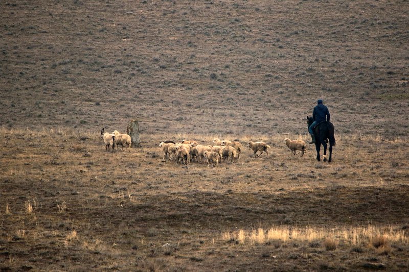 Жайылым жерлердің 40 пайызы өте нашар күйде