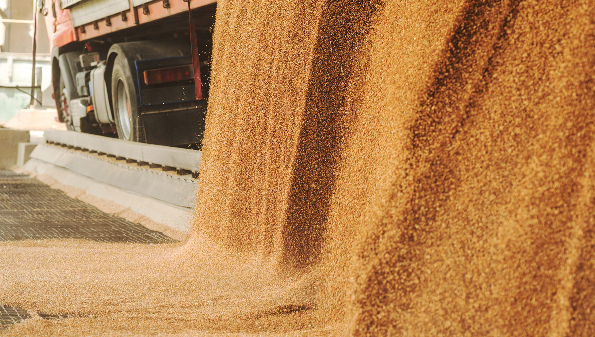 Казахстан запретит ввоз пшеницы в страну автотранспортом
