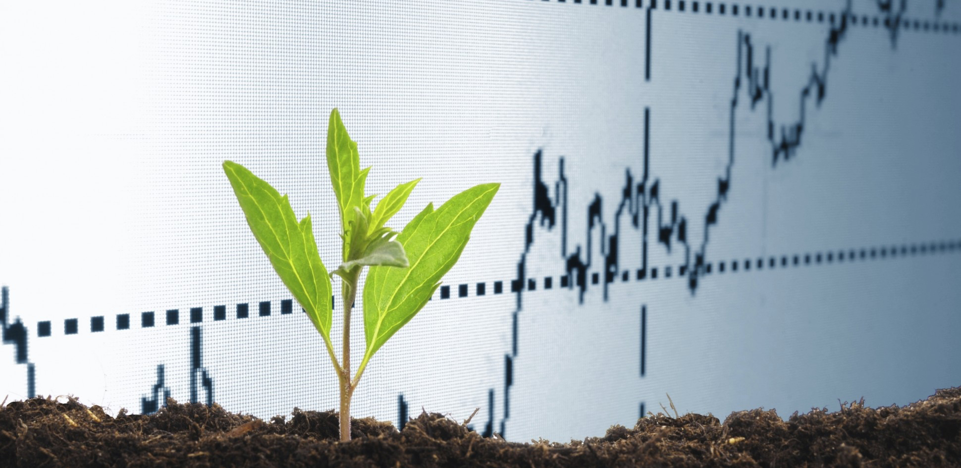 Инвестиции в сельское хозяйство Казахстана превысили 1 трлн тенге