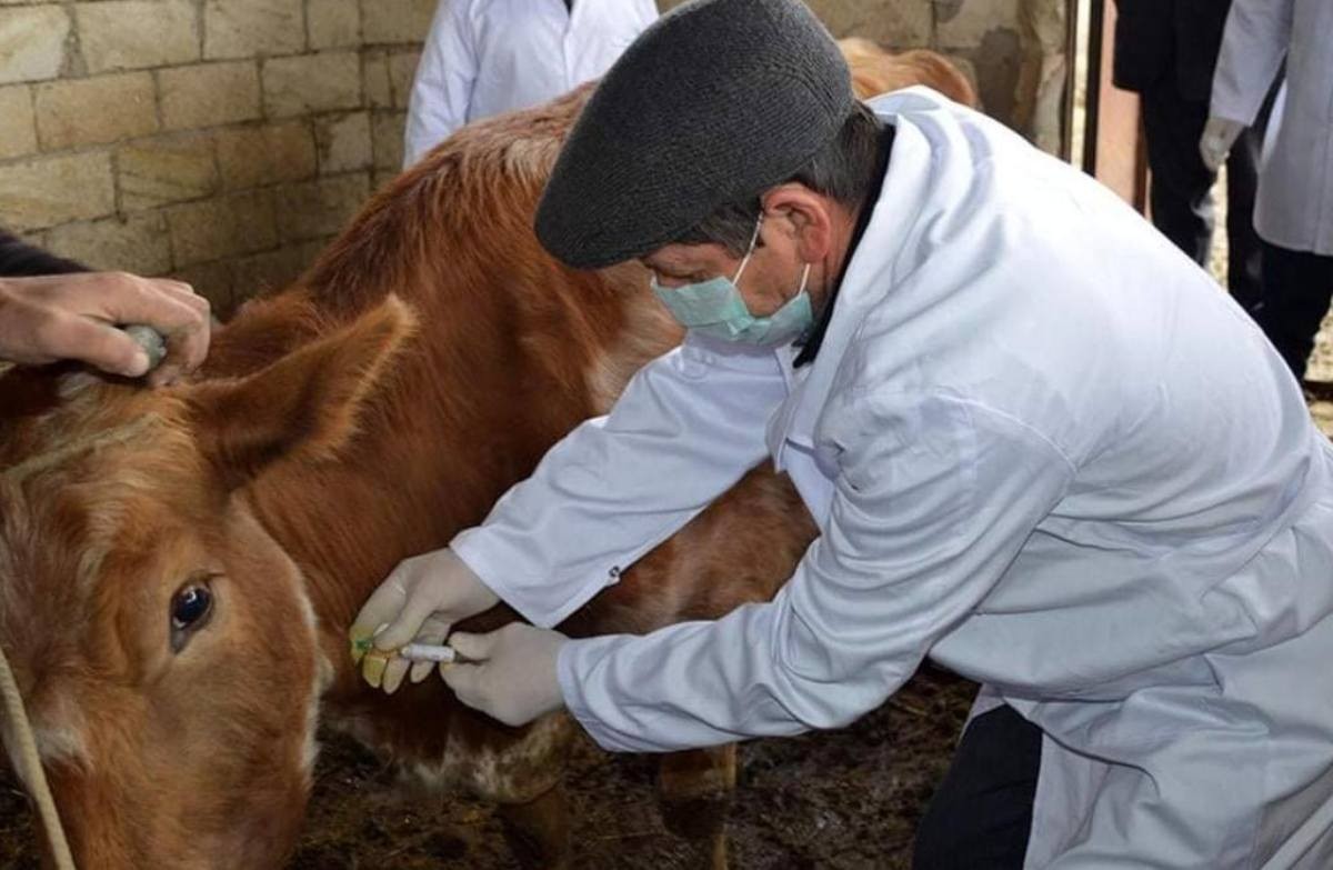 Veterinarian Day to be celebrated in Kazakhstan