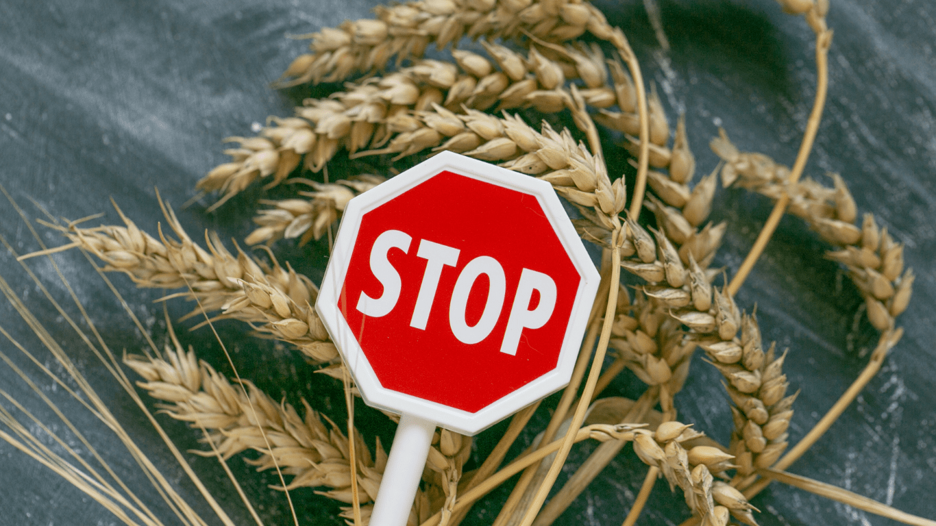 Запрет экспорта тормозит фермеров