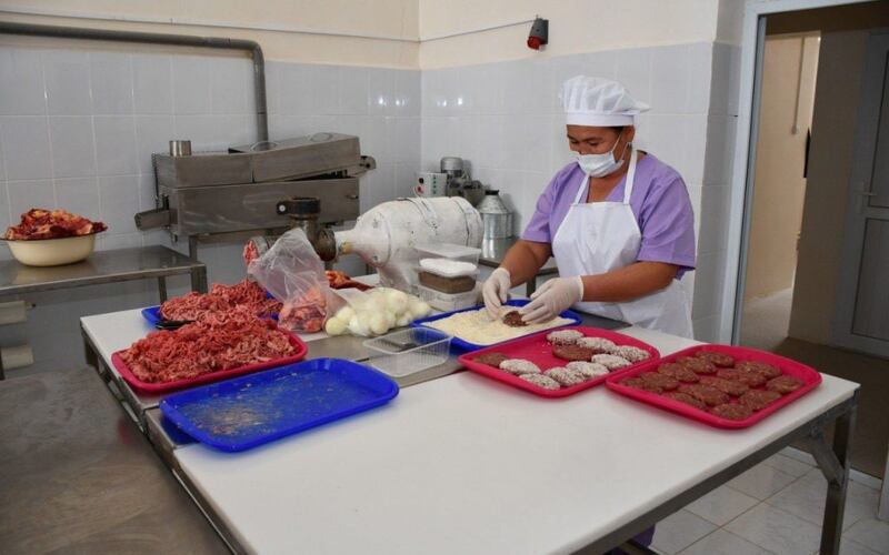 В Кызылординской области запущен мясоперерабатывающий цех