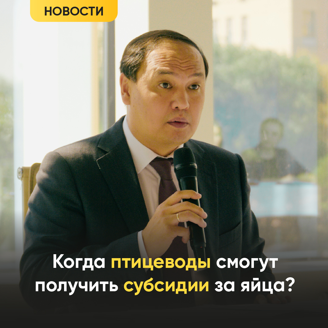 Когда птицеводы смогут получить субсидии за яйца? 