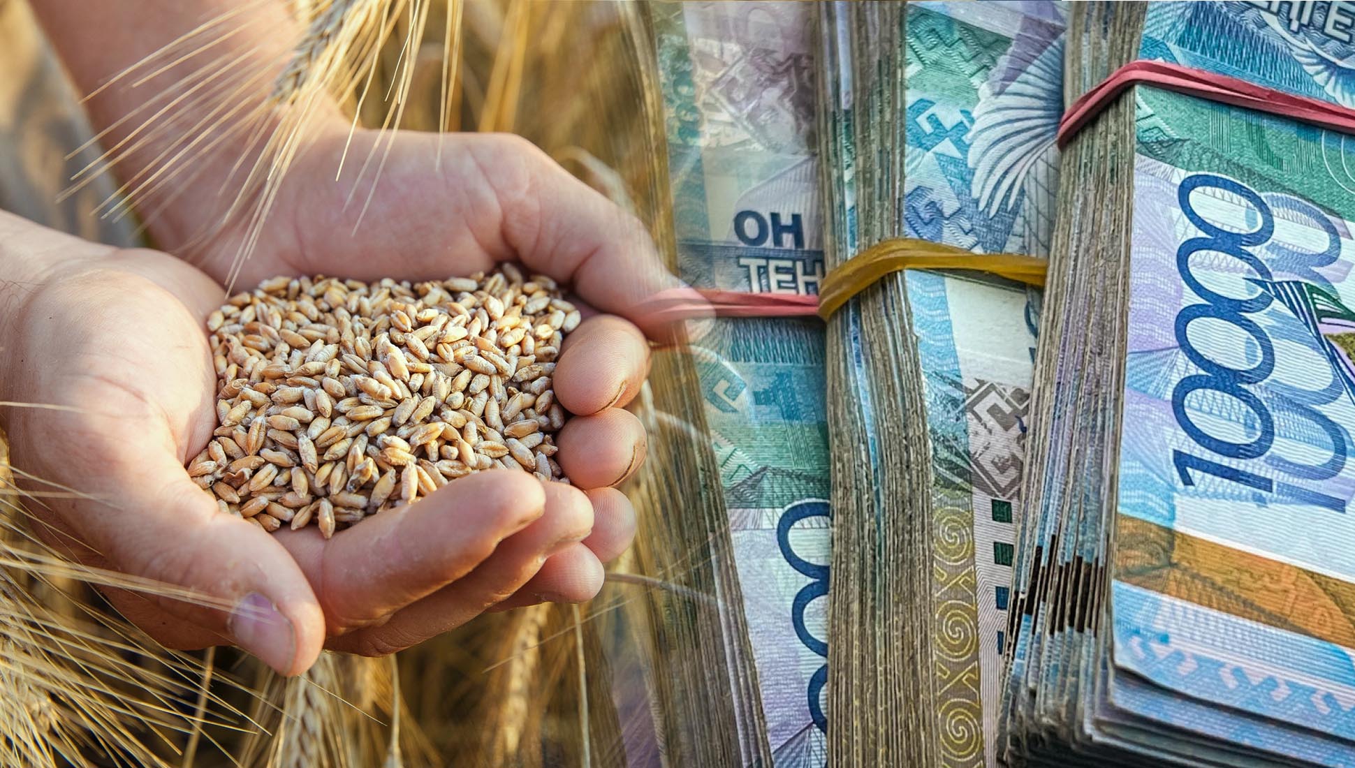 Export prices for grain are underreported: the state budget has underreceived 10 billion tenge