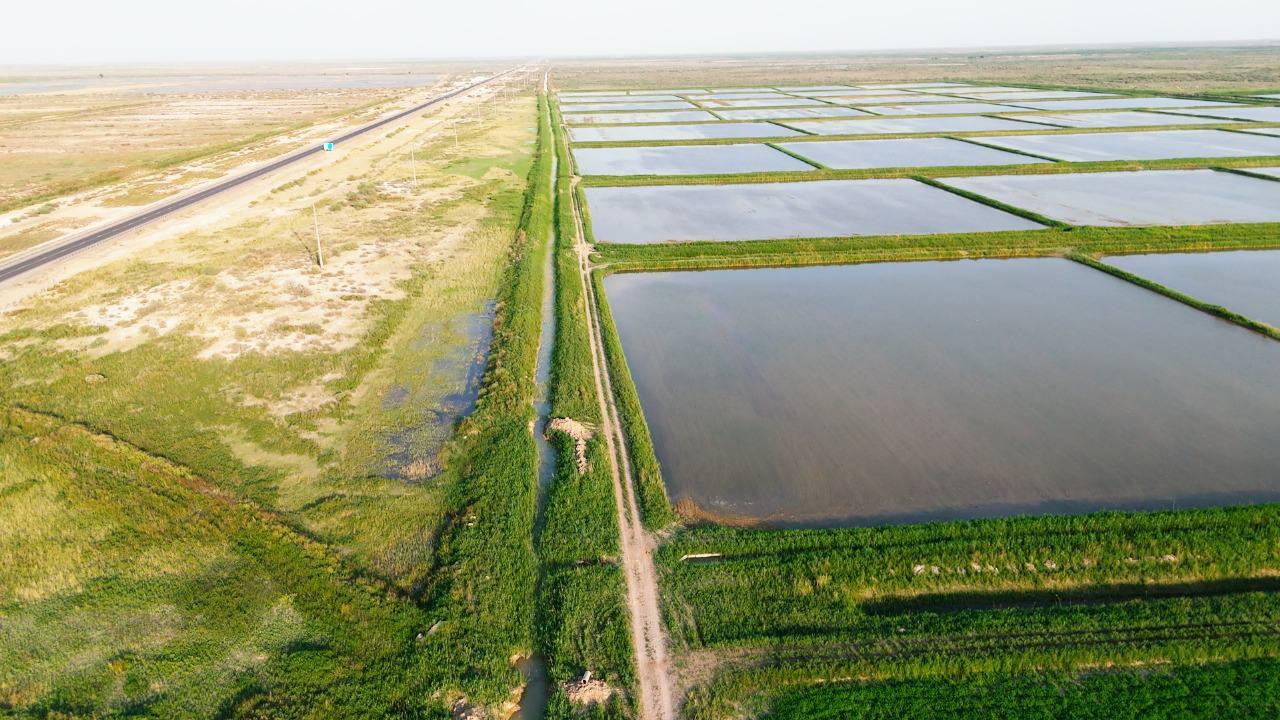 Улучшены условия подачи воды на 79 тысячах га