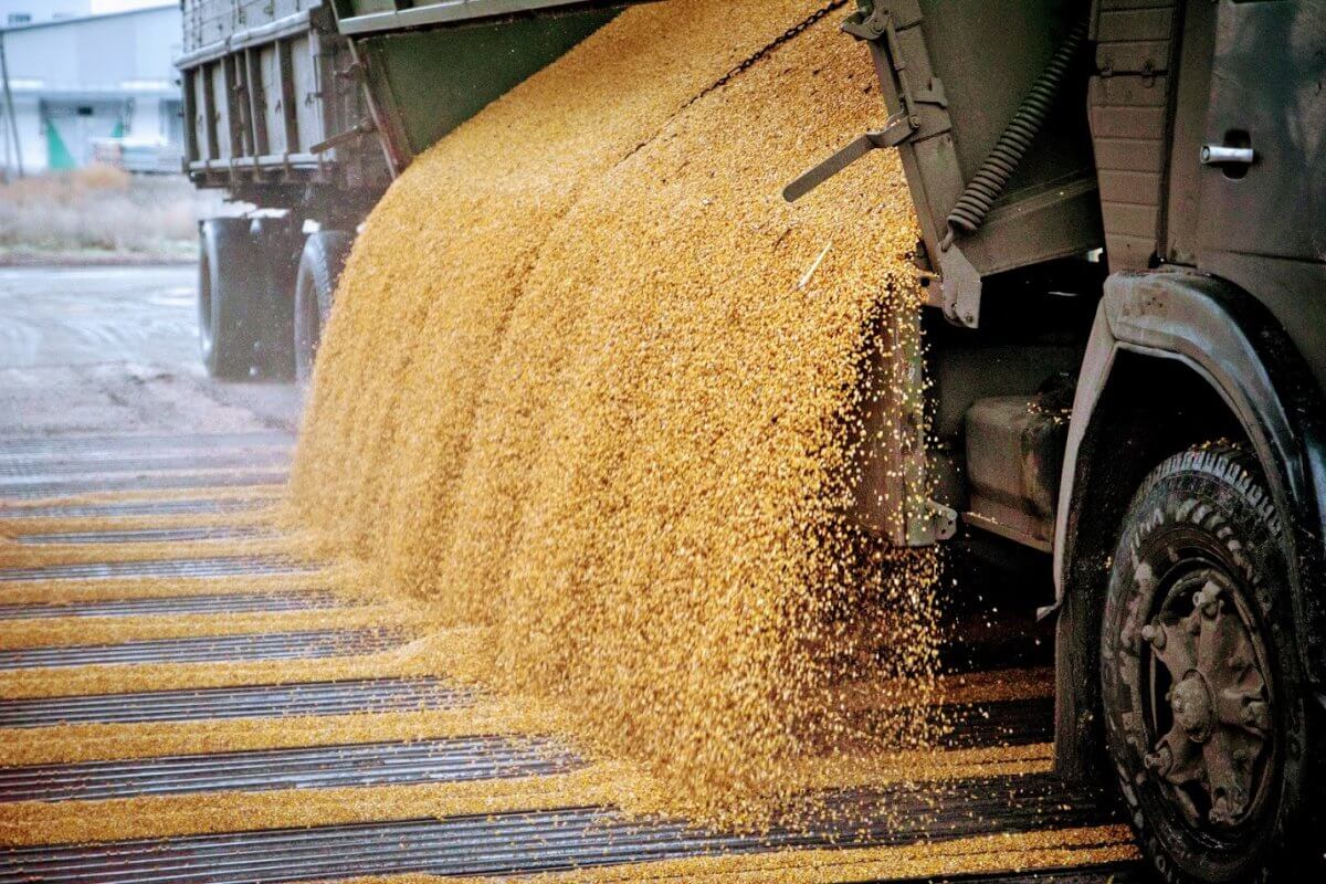 Import of oilseeds and barley increased by road transport
