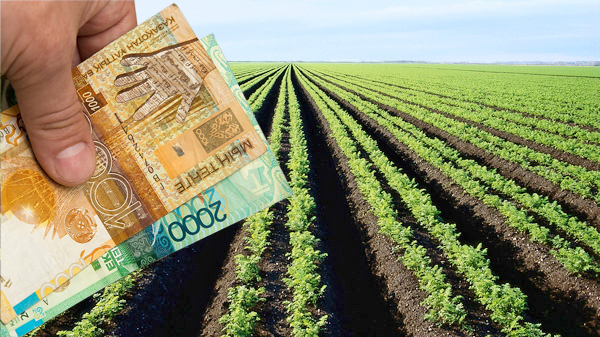 Правительство продлило субсидирование НДС на 27 видов сельскохозяйственной продукции
