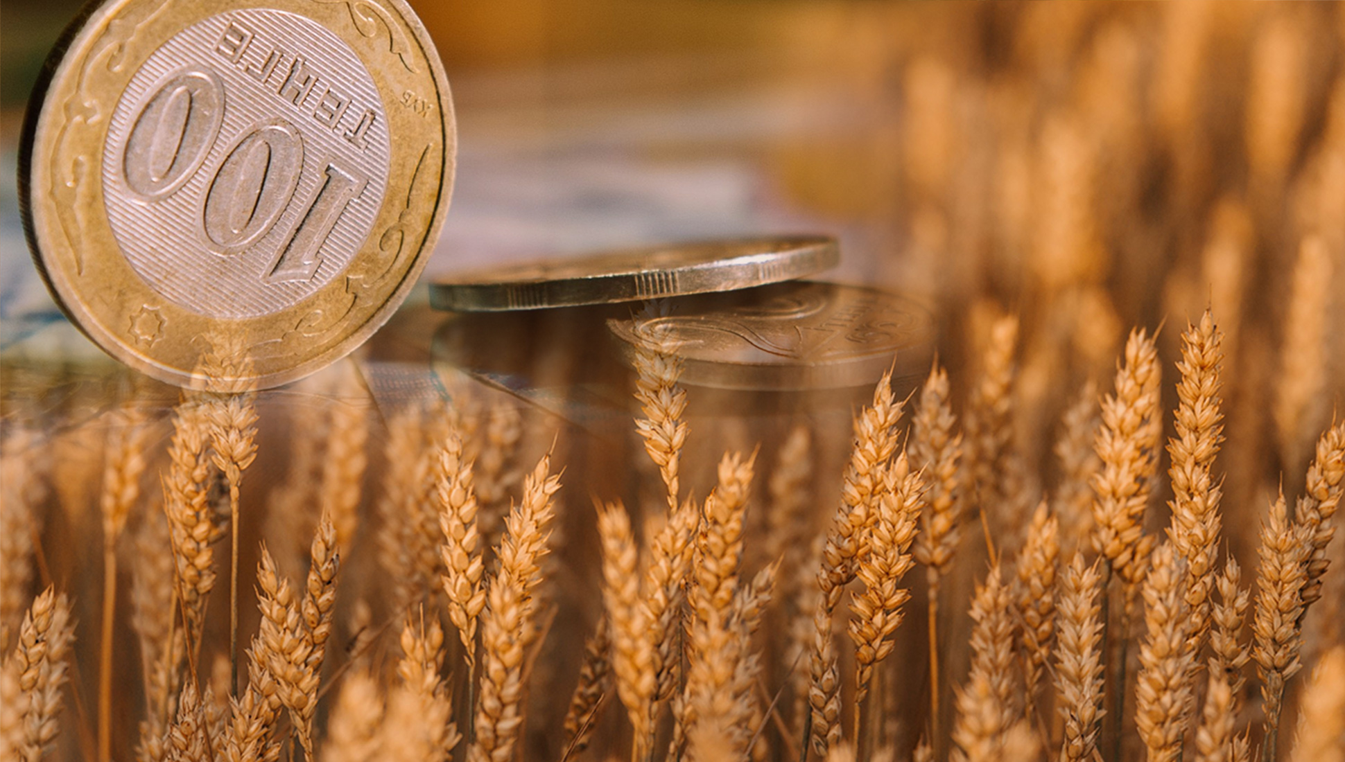 Эксперты прогнозируют дальнейшее падение цен на пшеницу