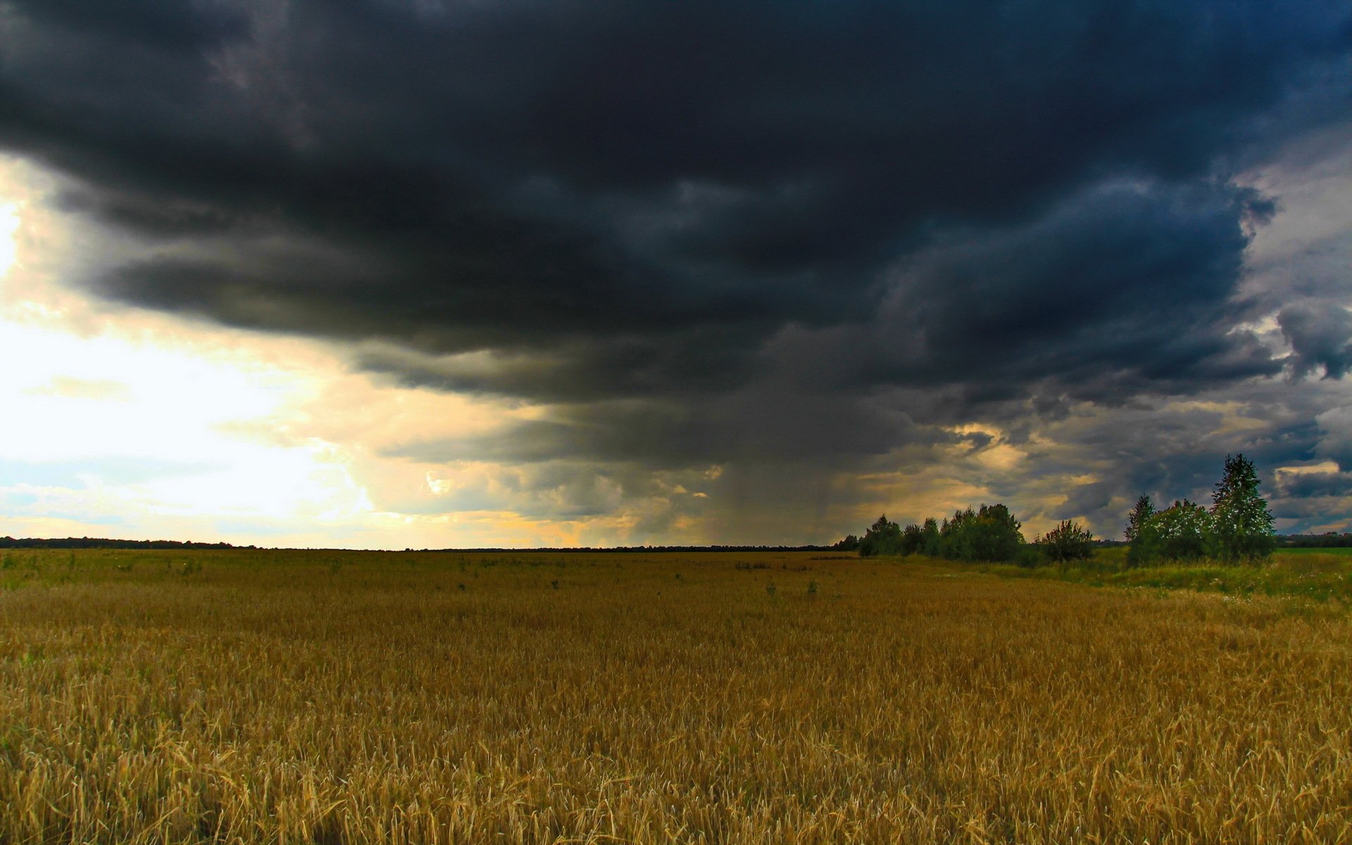 «AgroData.KZ» сообщит фермеру об осадках, уровне влаги в почве и о погоде