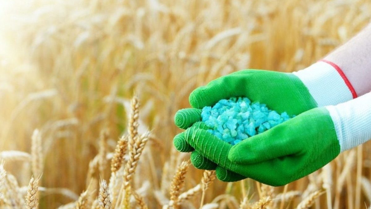 Когда снизится стоимость удобрений, рассказали аналитики