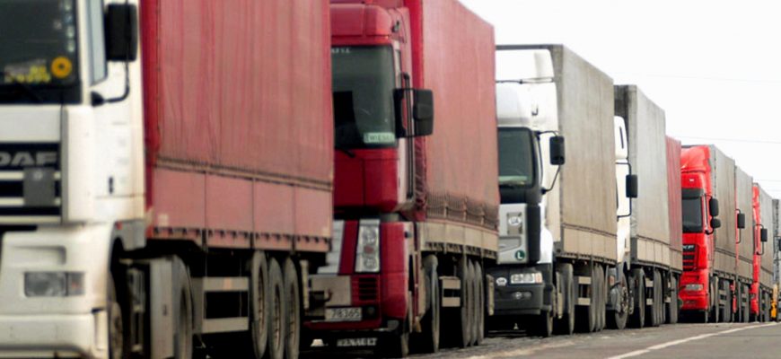 За неделю выявлено 72 нарушения в области карантина растений