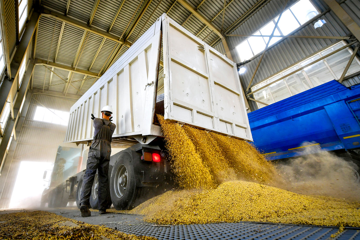 Кыргызстан увеличил закуп российской пшеницы